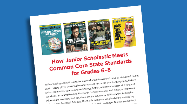 A page previewing details about common core standards