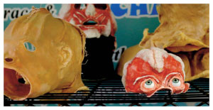 21+ The Cadaver Factory Pictures