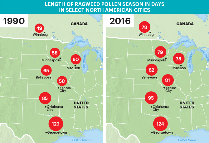 Pollen Season Is Nothing to Sneeze at, Homegrown