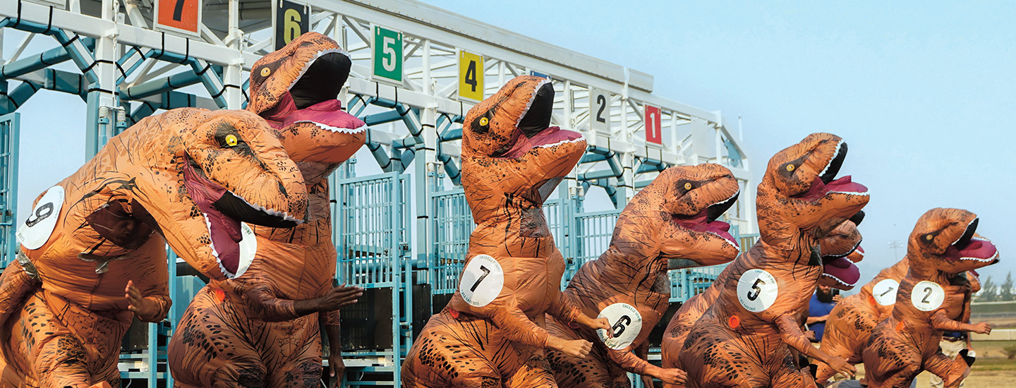 Photo of inflatable T-Rex competitors running a race