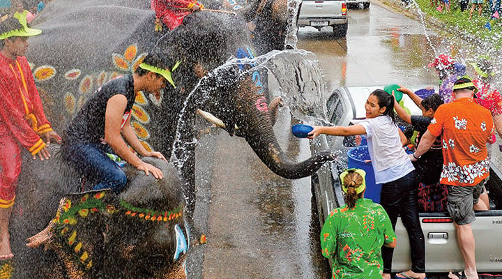 Photo of people celebrating New Years with decorated elephants