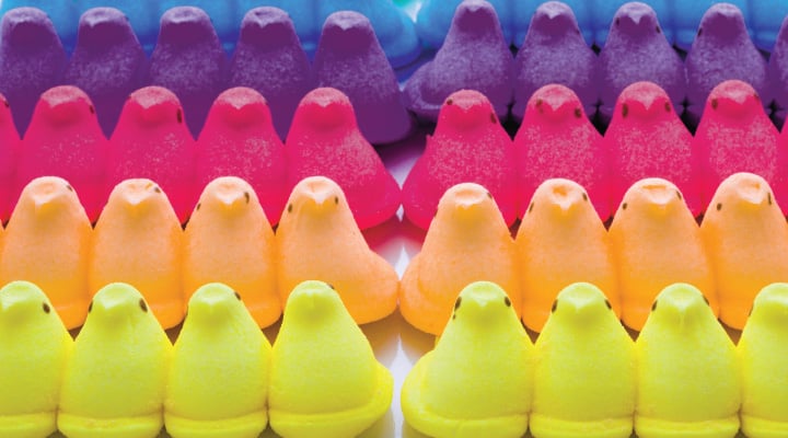Rows of colorful marshmallow chicks in purple, pink, orange, and yellow