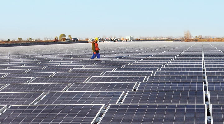 Worker in safety vest and hard hat walking through vast solar panel array
