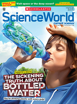 Magazine Issue Cover