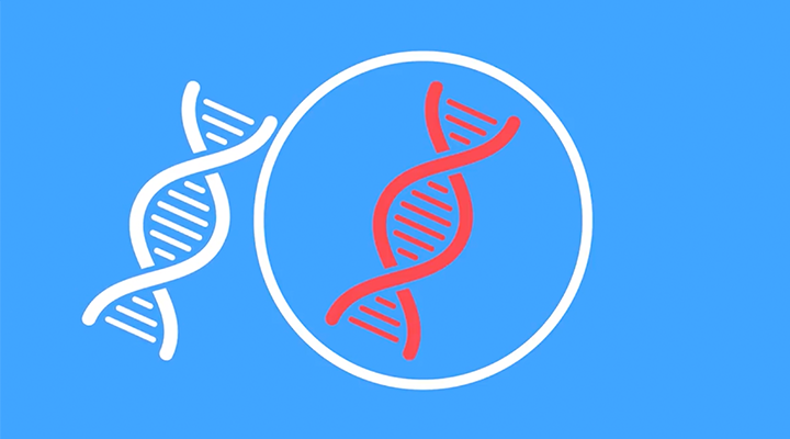 Illustration of two DNA strands, one inside of a circle